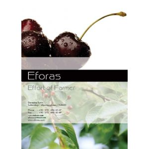 EFORAS Efor Tarım ürünleri A.Ş