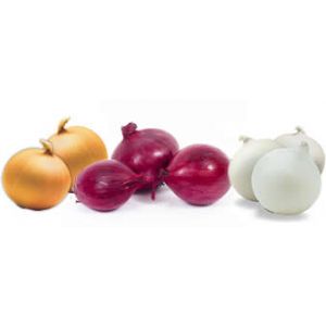 FRUTURK TARIM ÜRÜNLERI VE GIDA SAN.TIC.LTD.STI.