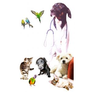 Güven Veteriner Kliniği 
