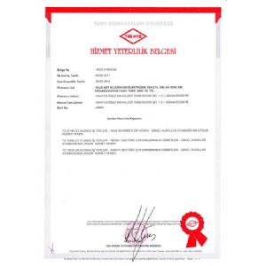 Mag-Net Web Adana Web Tasarım
