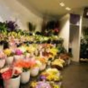 Türkflowers çiçekçi