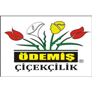 Ödemiş Çiçekçilik