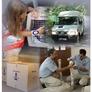 Sümerman International Movers