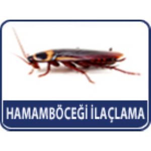 Bursa Kimya İlaçlama