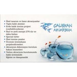 Çalışkan Akvaryum