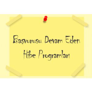 Forewer Danışmanlık