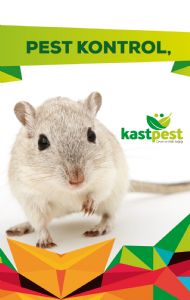 Kastpest Fumigasyon Haşere ilaçlama,pest Kontrol, Çevre ve Halk Sağlığı