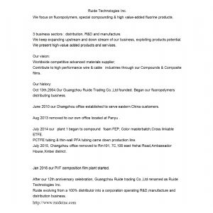 Ruide Technologies Inc.