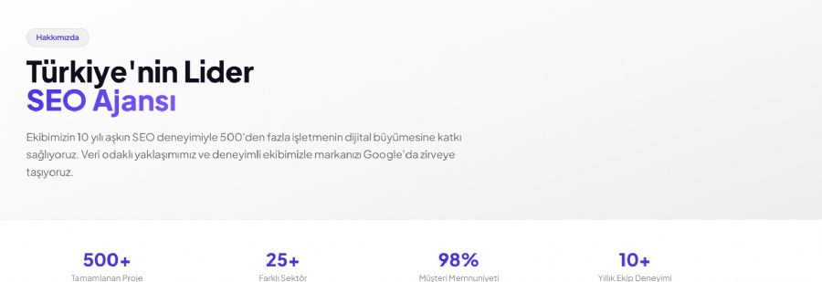 Rayzer Digital Seo Ajansı