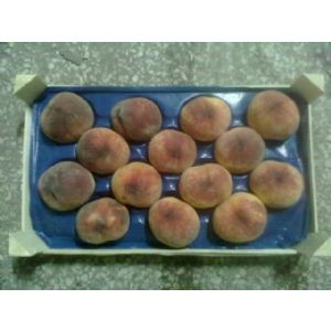 AŞKAR TARIM ÜRÜNLERİ İTH.İHR. LTD.ŞTİ