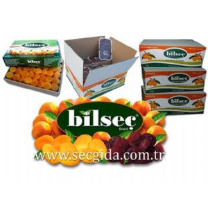 FRUTURK TARIM ÜRÜNLERİ VE GIDA SAN.TIC.LTD.STI.