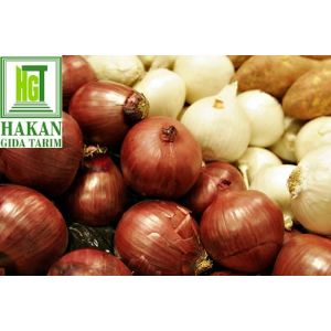 HAKAN GIDA TARIM ÜRÜNLERİ