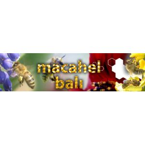 Macahel Bali