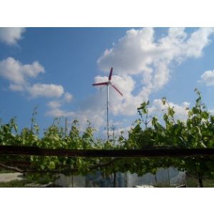 Green Enerji