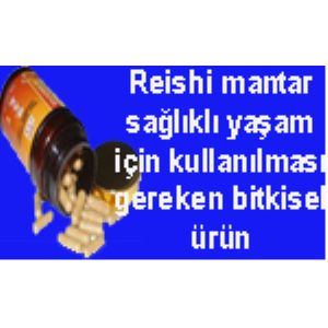 Fener Kozmetik