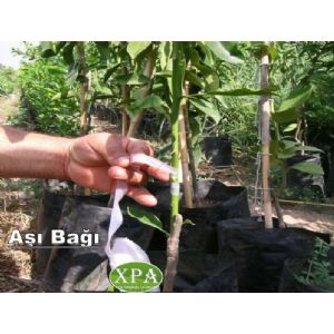 Xpa Plastik Sanayi