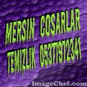 MERSİN ARZUM TEMİZLİK