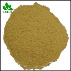 Lotus (Guangzhou) industrial co ltd