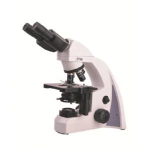 BestScope International Limited
