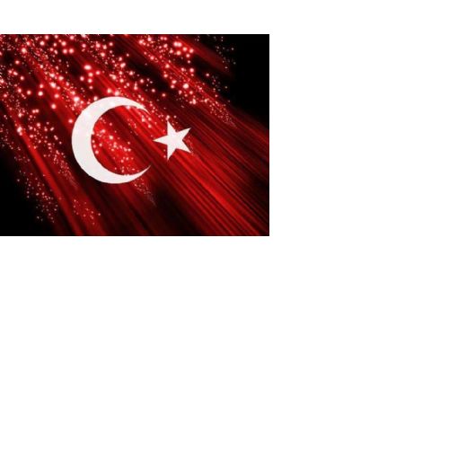 EŞSİZ GRUP