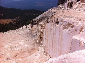 ETA ORMANCILIK