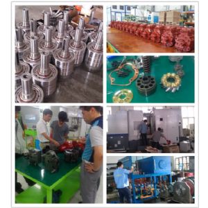 Shanghai Belle Hydraulic Co.,ltd