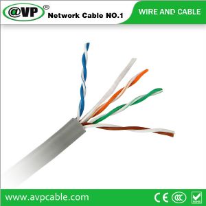 Shenzhen AVP Netwrok Co.,Ltd