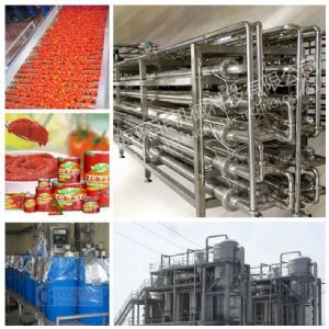 Shanghai ChenFei Machinery Technology Co.,Ltd