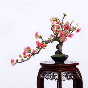 Sharetrade Artificial Plant Manufacturer Co., Ltd