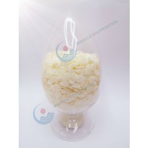 MIRACLE COOPERATION (HK) CO., LIMITED