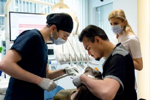 Cliniqa Dental World