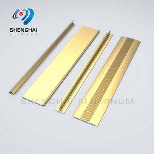 Foshan Shenghai Aluminum Co., Ltd.