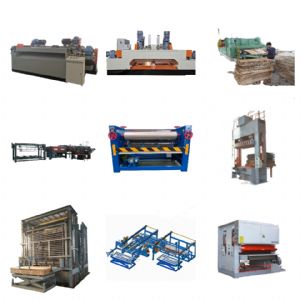 Shandong Sinoeuro International Trade Co.,Ltd.
