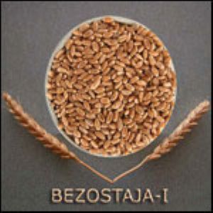 Odabaşı Tarım Ürünleri.Paz.Ltd.Şti