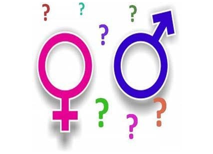 Avcılar Sex Shop