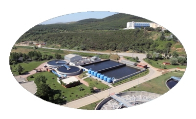 Armin Packaging Dolum Makinaları