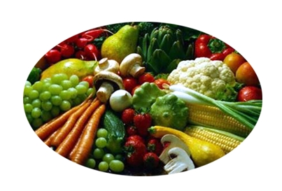 AGROSAN TARIM